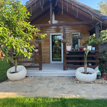 Cabana Sorina Corbu  Exterior photo