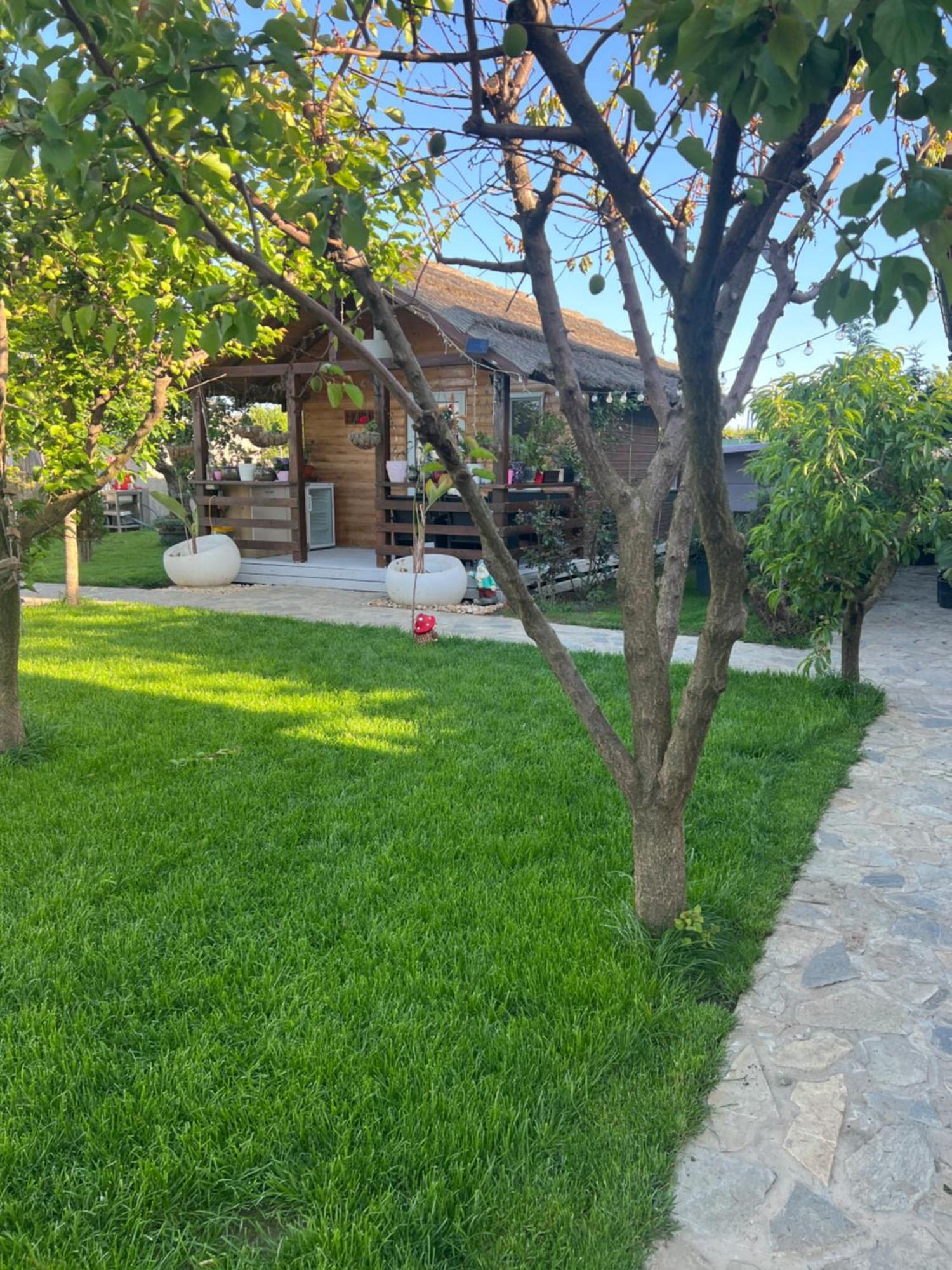 Cabana Sorina Corbu  Exterior photo