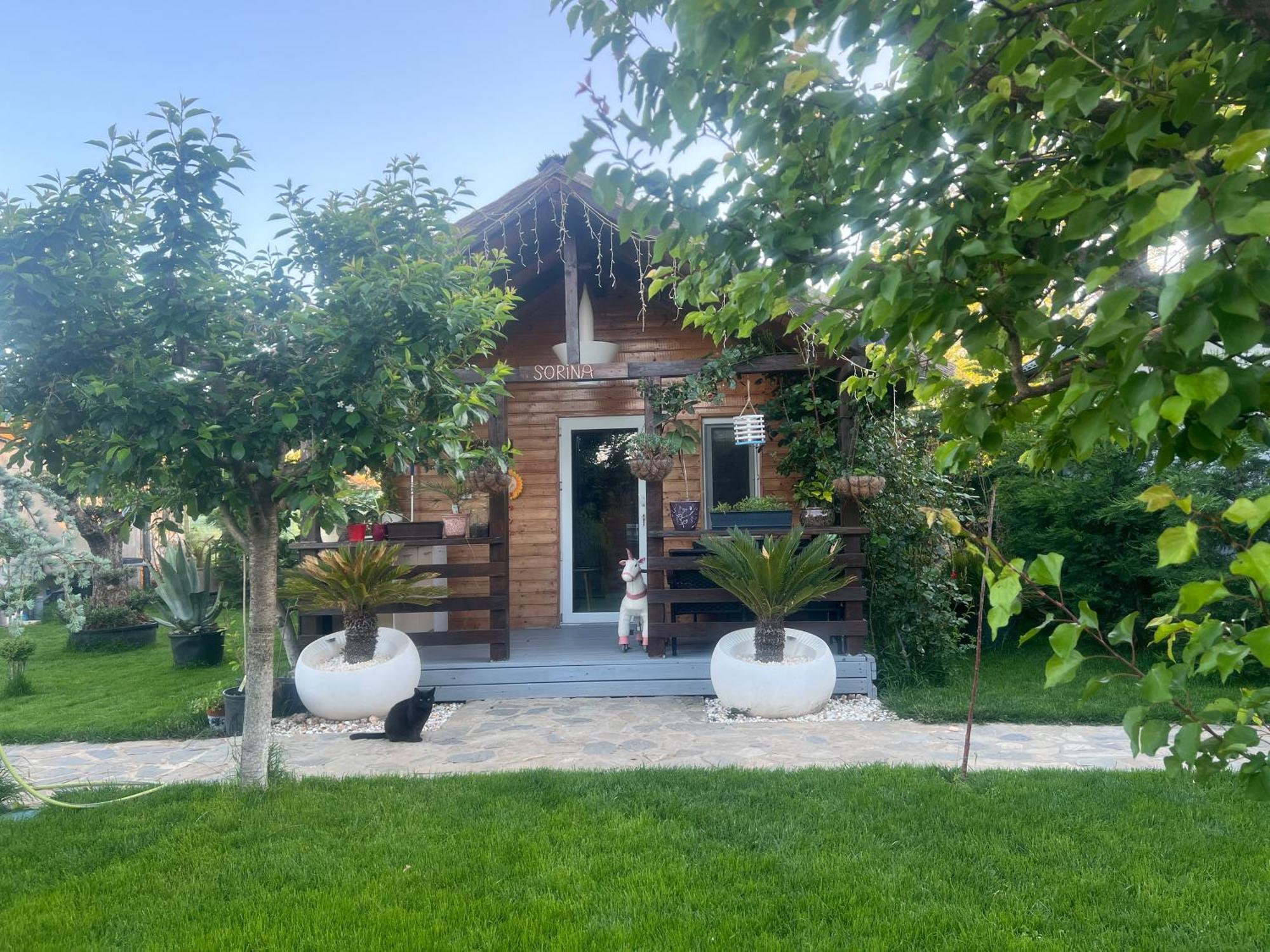 Cabana Sorina Corbu  Exterior photo
